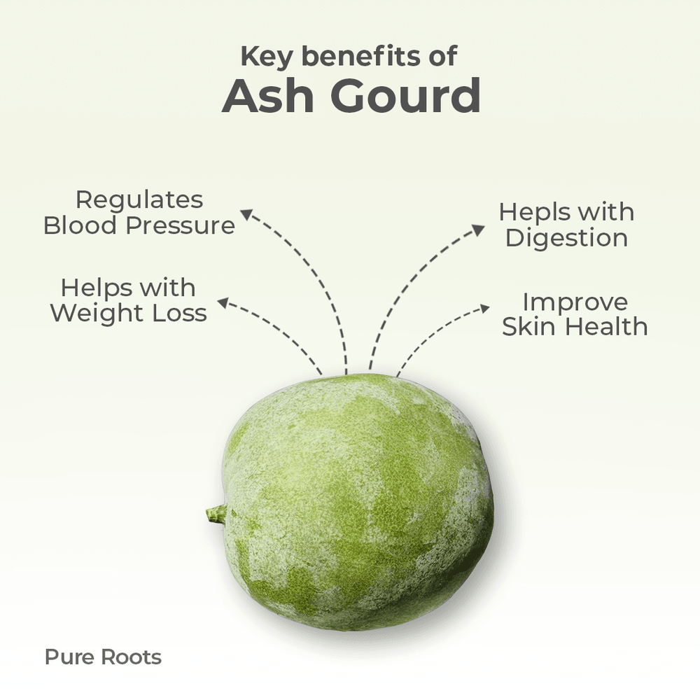 Organic Ash Gourd Organic Mandya