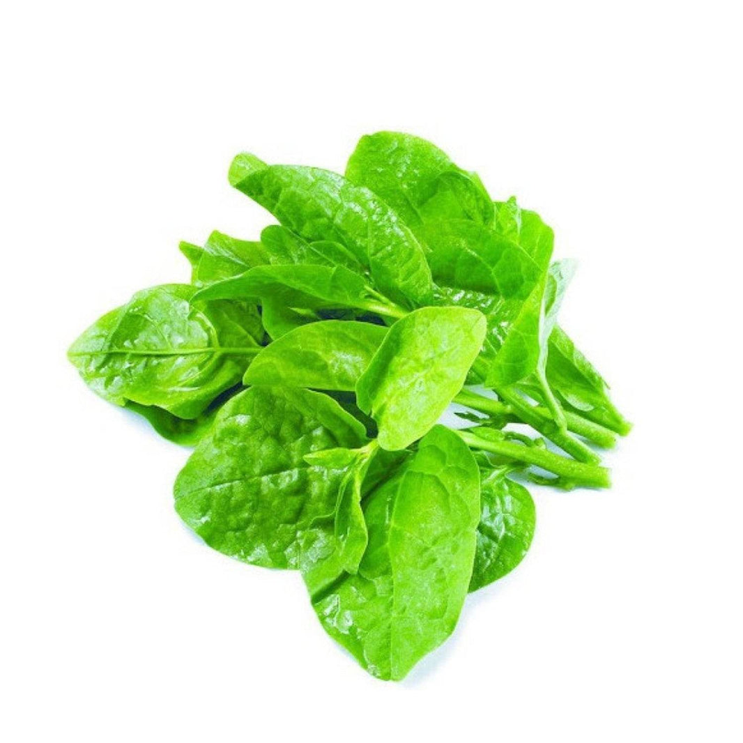Organic  Balli Basale