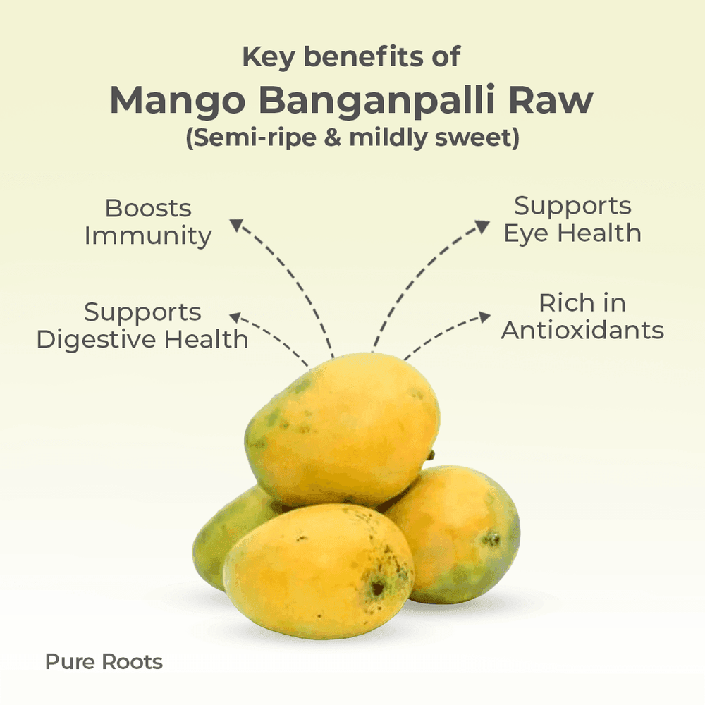 Organic Mango Banganpalli Raw (Semi-ripe & mildly sweet) Organic Mandya