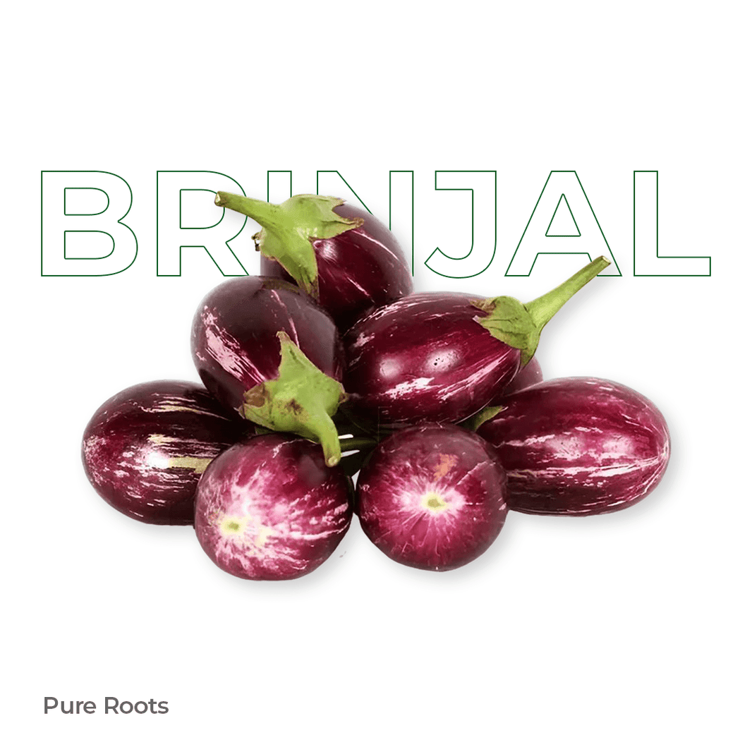 Organic Brinjal (Round) Organic Mandya