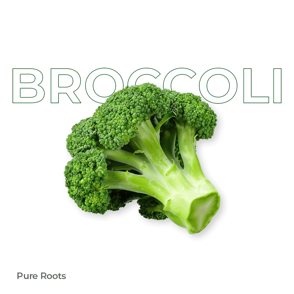 Organic Broccoli Organic Mandya