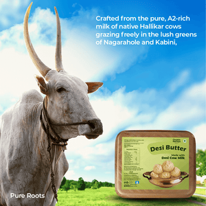 A2 Desi Butter Organic Mandya