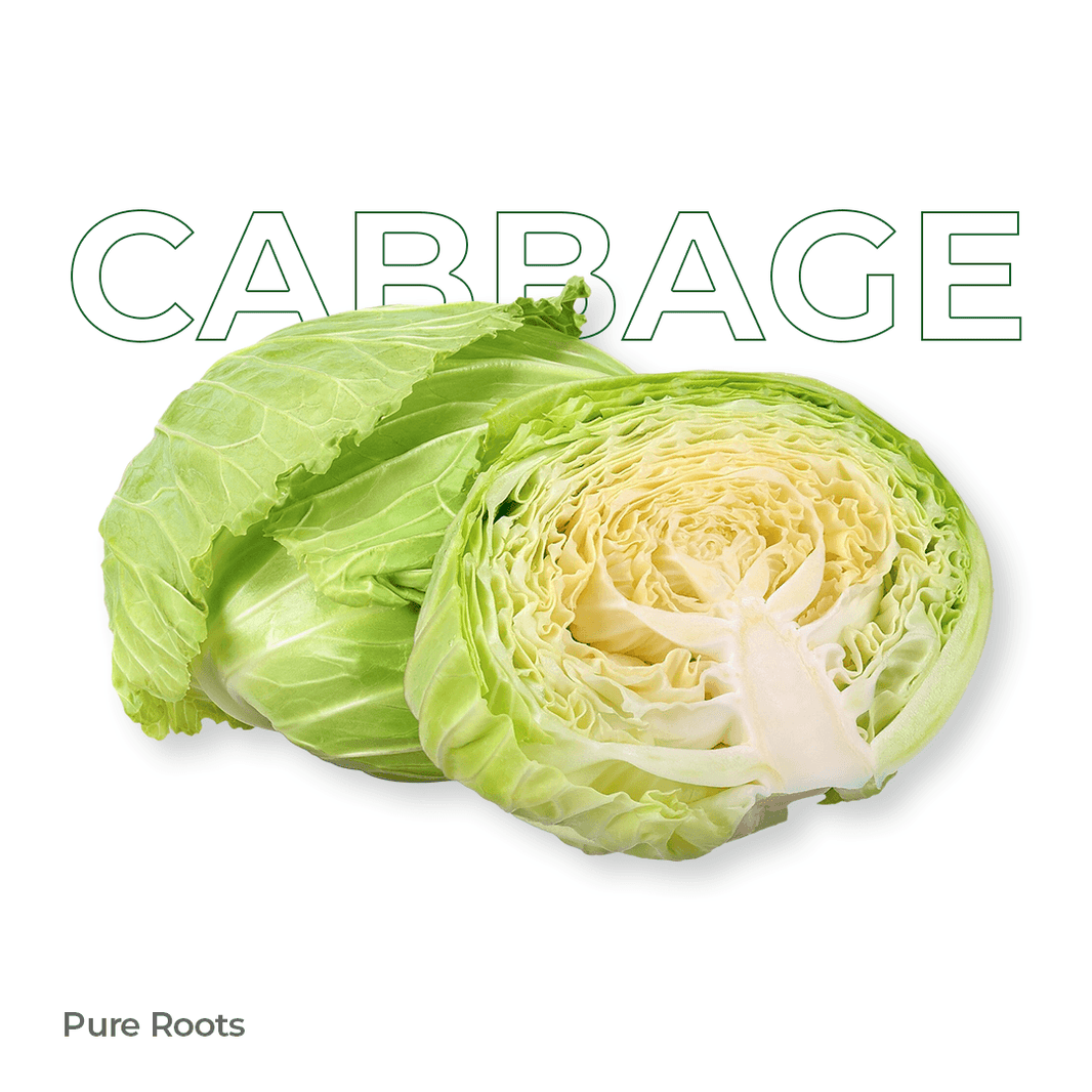 Organic Cabbage Organic Mandya
