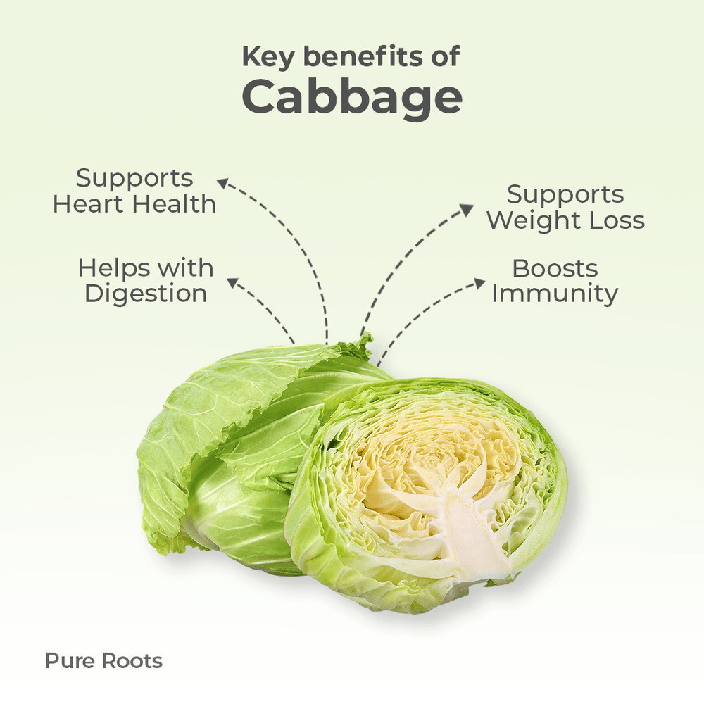 Organic Cabbage Organic Mandya