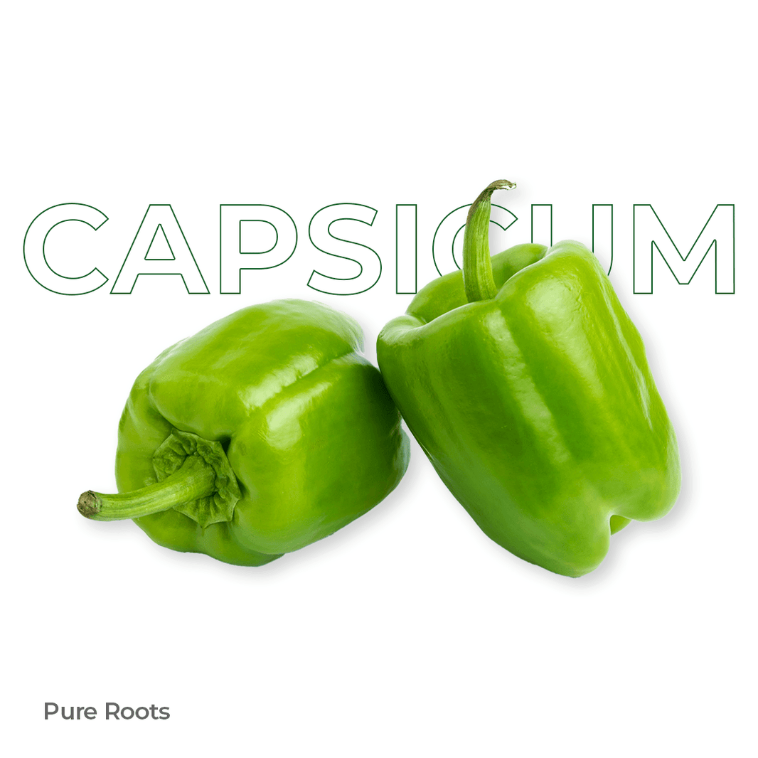Organic Capsicum Organic Mandya