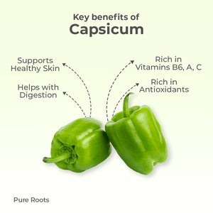 Organic Capsicum Organic Mandya