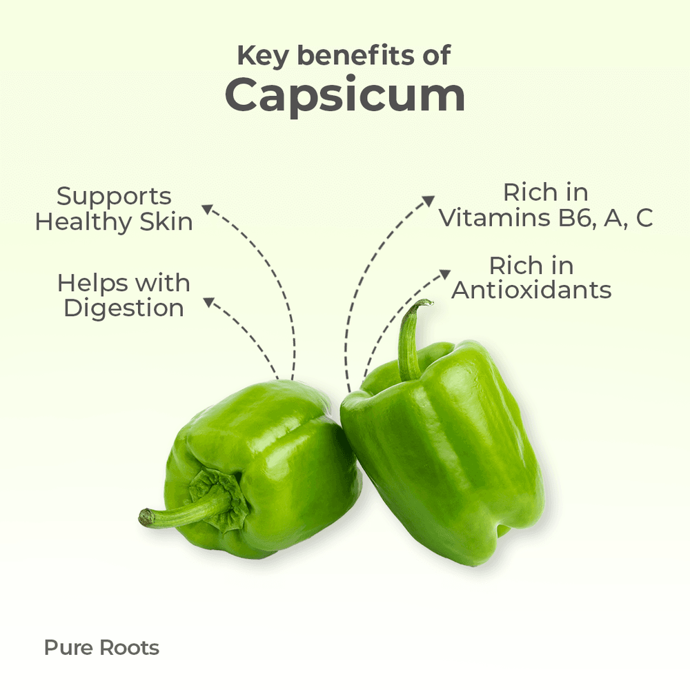 Organic Capsicum Organic Mandya