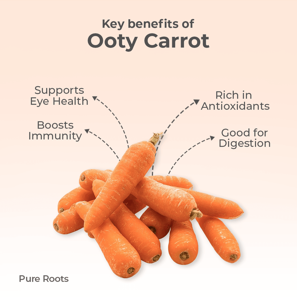 Organic Carrot Ooty Organic Mandya