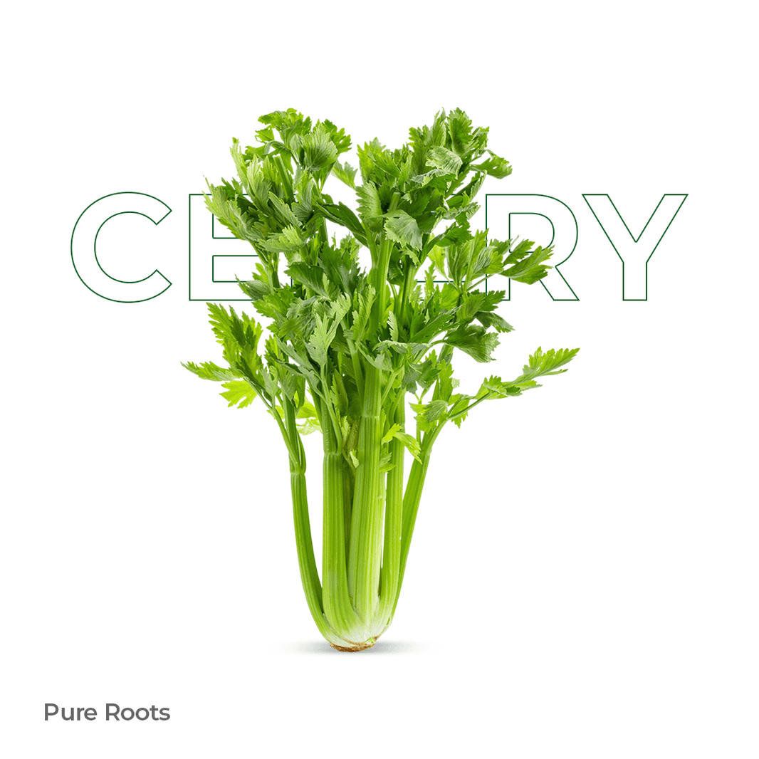 Organic Celery Organic Mandya