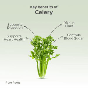 Organic Celery Organic Mandya