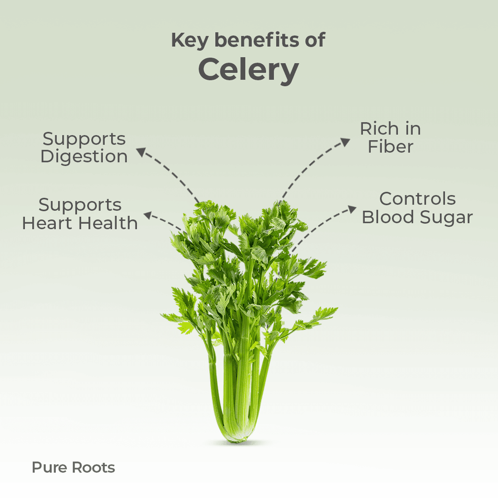 Organic Celery Organic Mandya