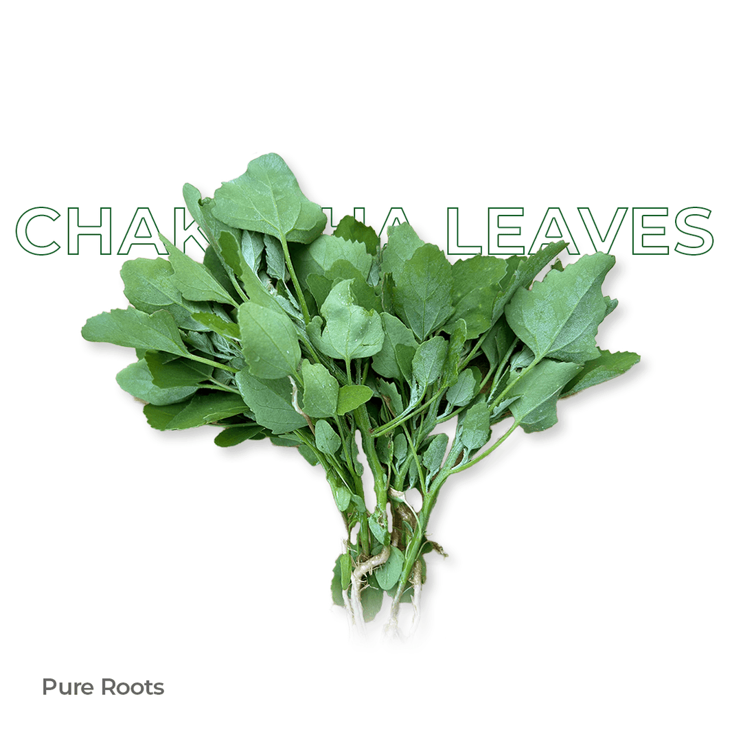 Organic Chakotha Leaves Organic Mandya