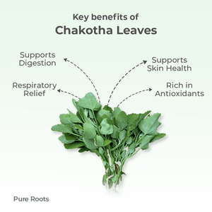 Organic Chakotha Leaves Organic Mandya