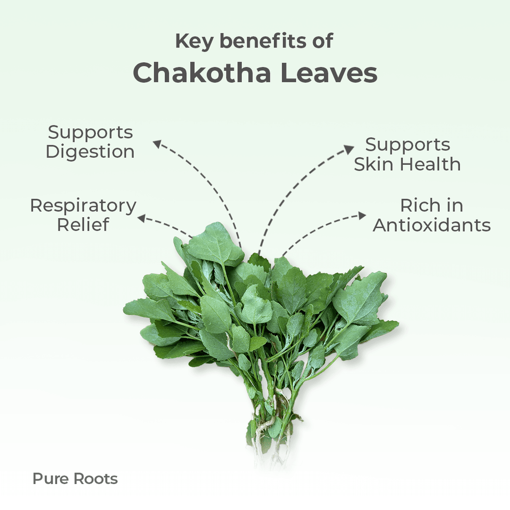 Organic Chakotha Leaves Organic Mandya