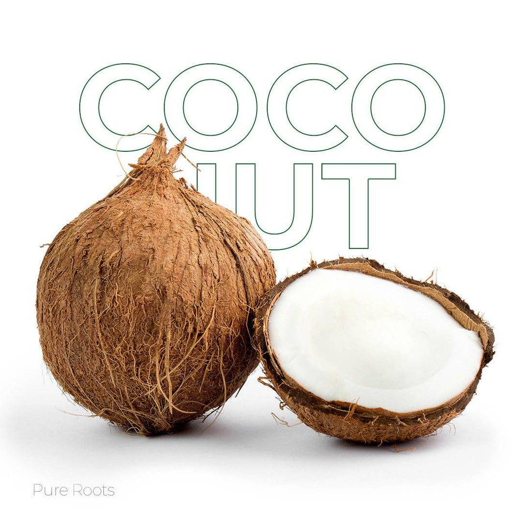 Coconut Organic Mandya
