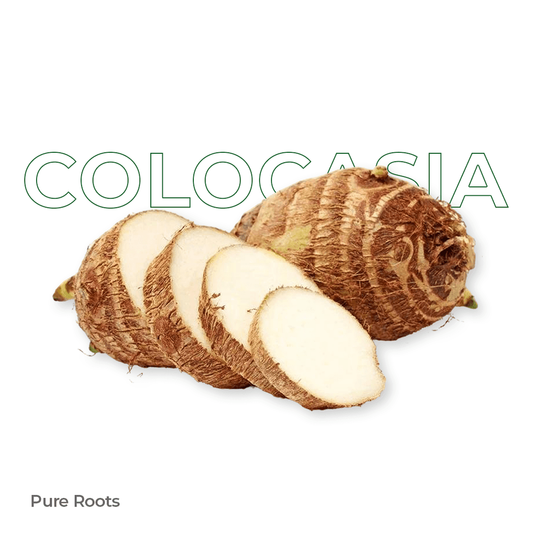 Organic Colocasia Organic Mandya