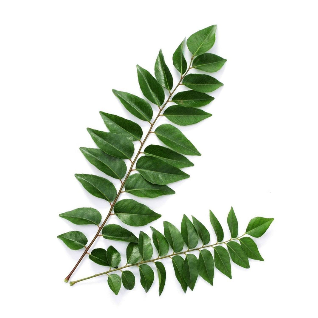 Organic Mandya - Curry Leaves