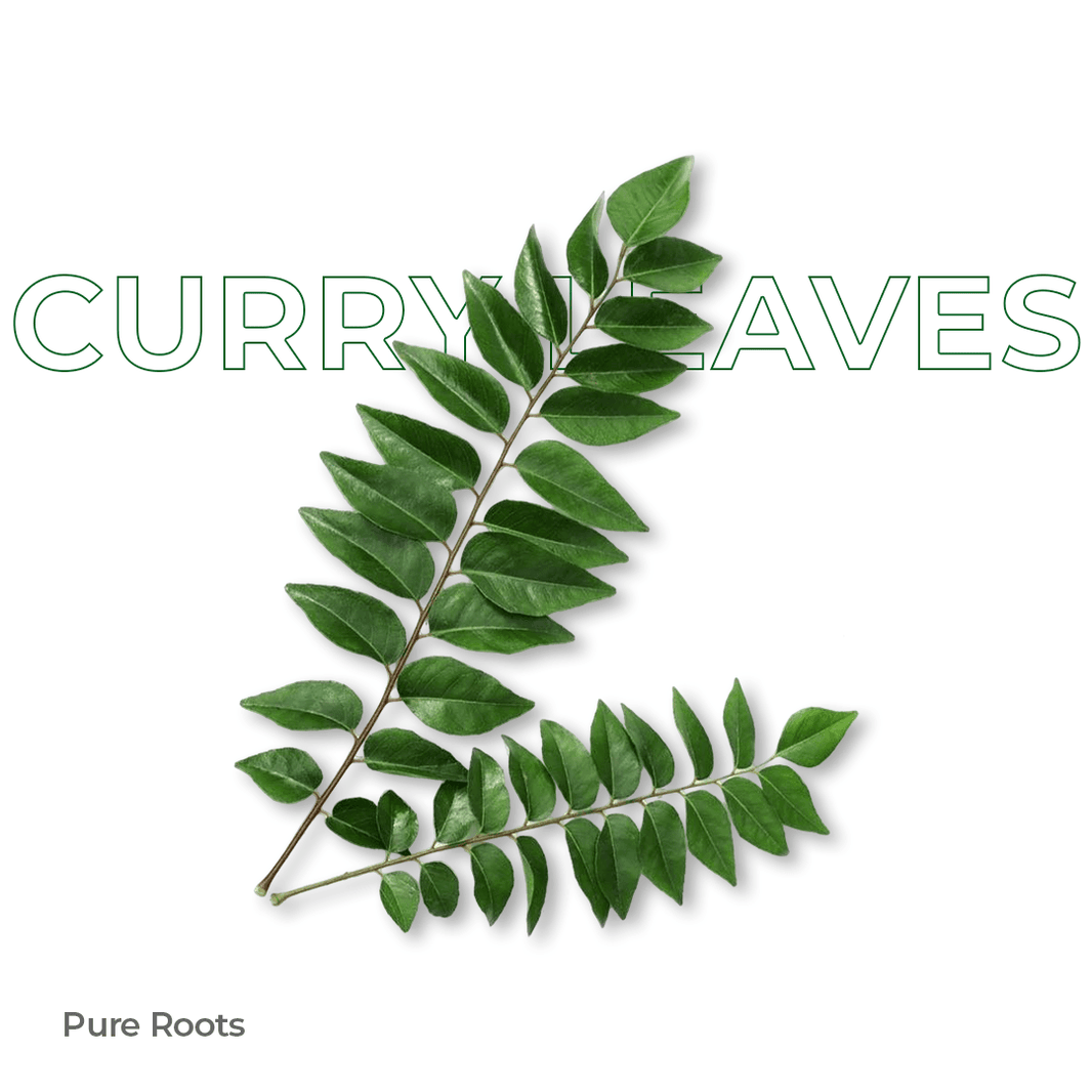 Organic Curry Leaves Organic Mandya