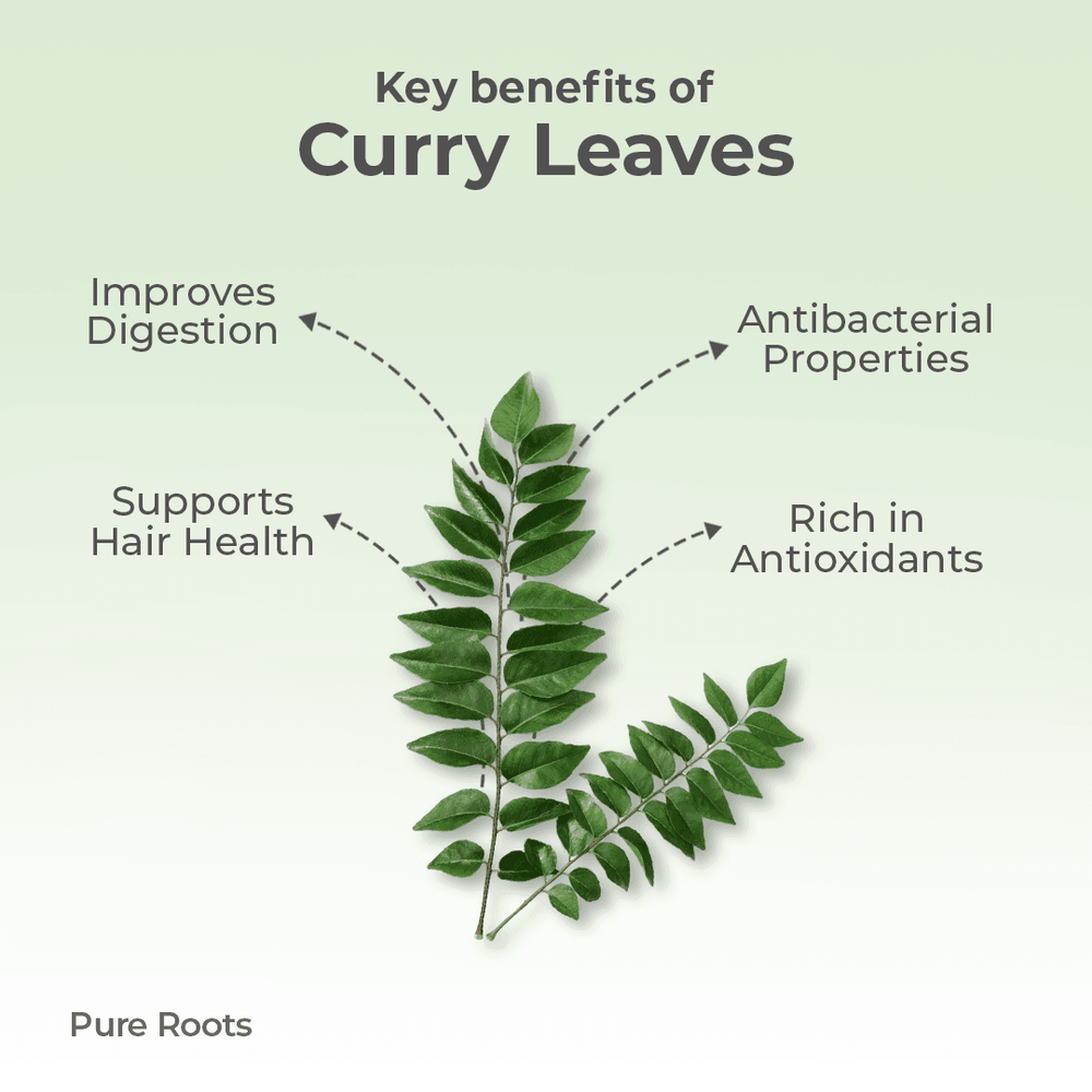 Organic Curry Leaves Organic Mandya