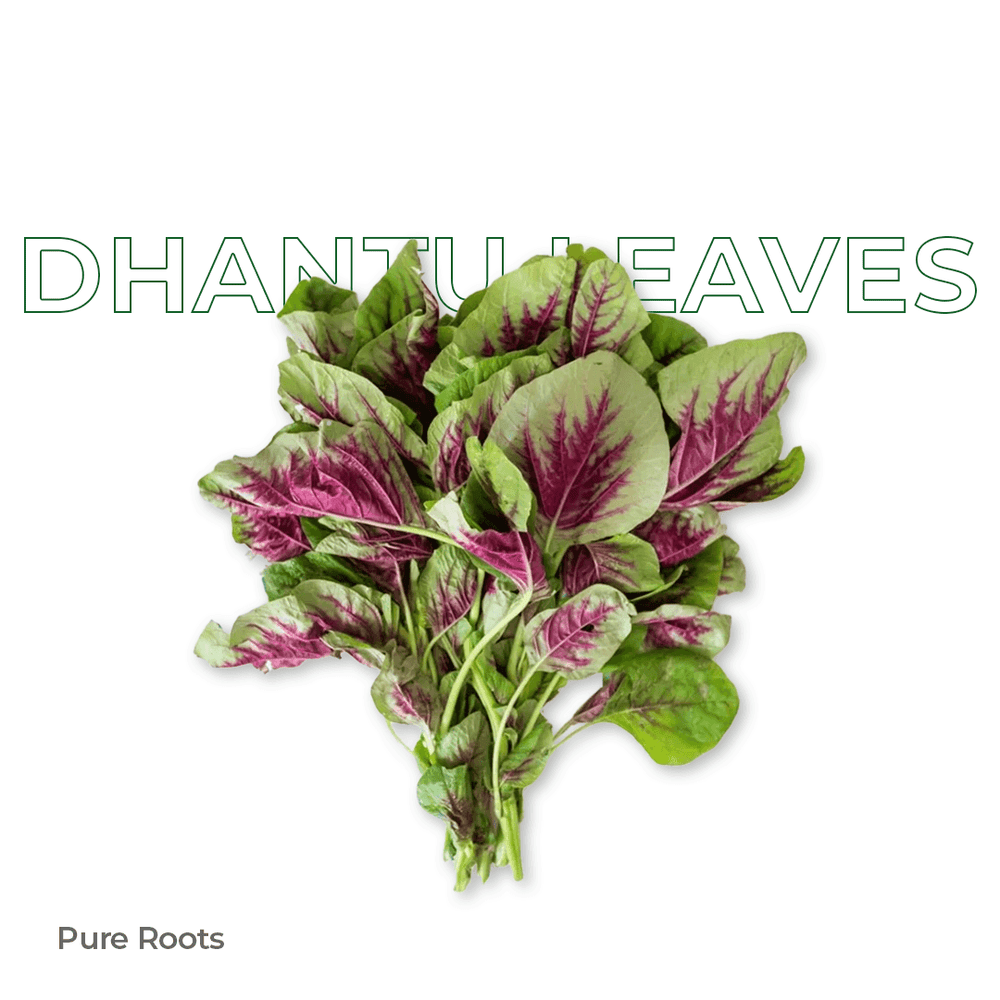 Organic Dhantu Leaves Organic Mandya