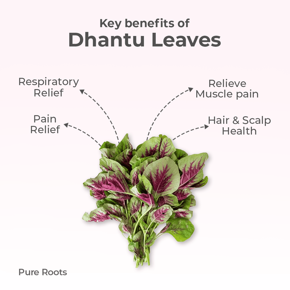 Organic Dhantu Leaves Organic Mandya