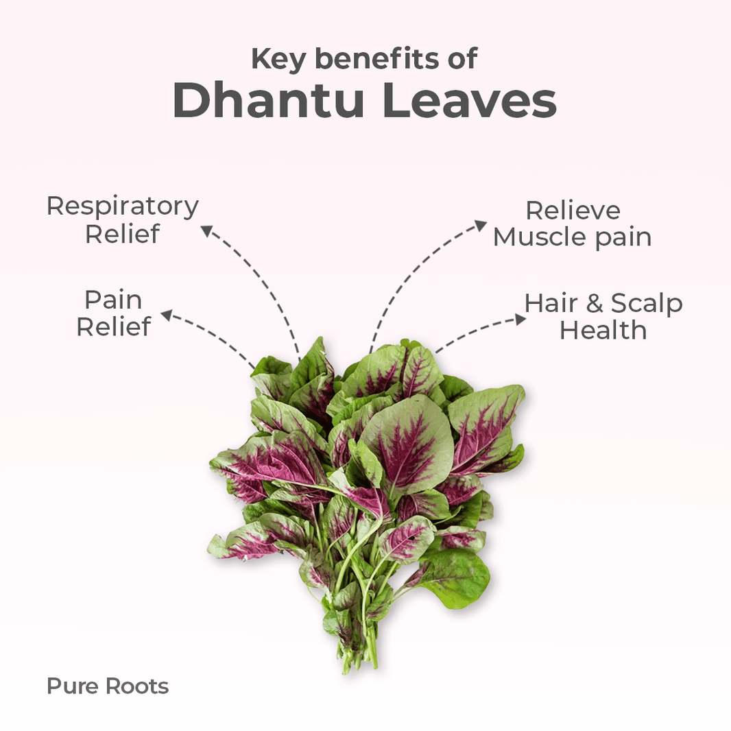 Organic Dhantu Leaves Organic Mandya