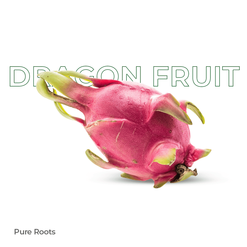 Organic Dragon Fruit Organic Mandya