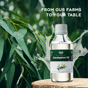 Eucalyptus oil source