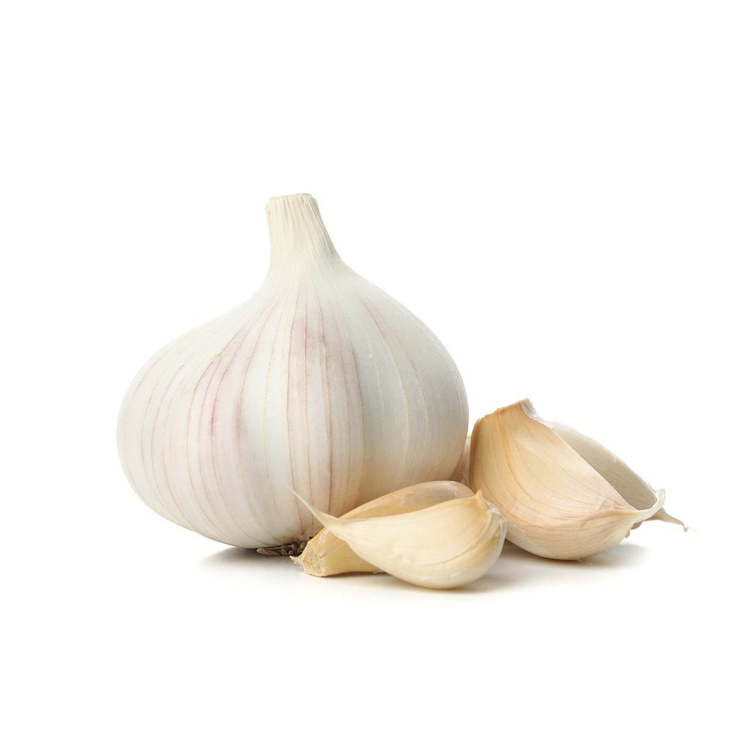 Organic Garlic
