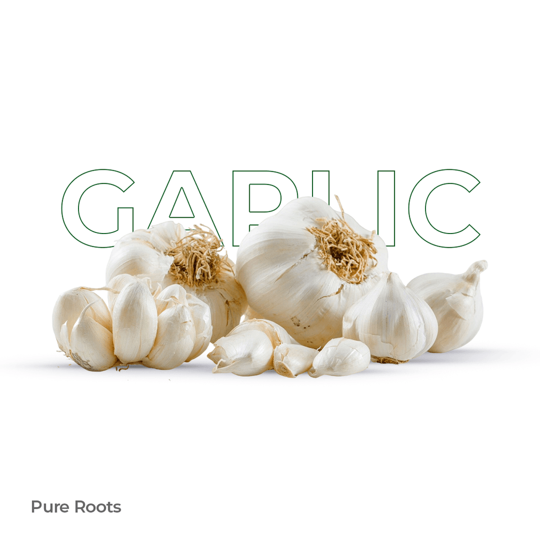Organic Garlic Organic Mandya