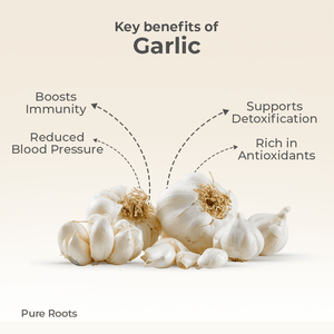 Organic Garlic Organic Mandya