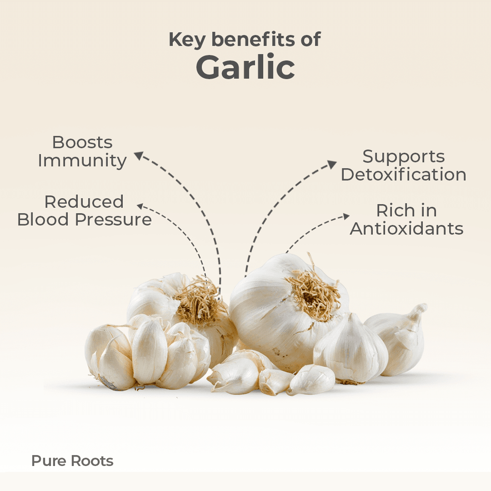 Organic Garlic Organic Mandya
