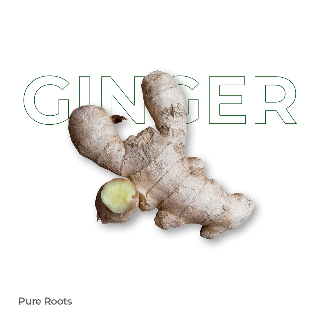 Organic Ginger Organic Mandya