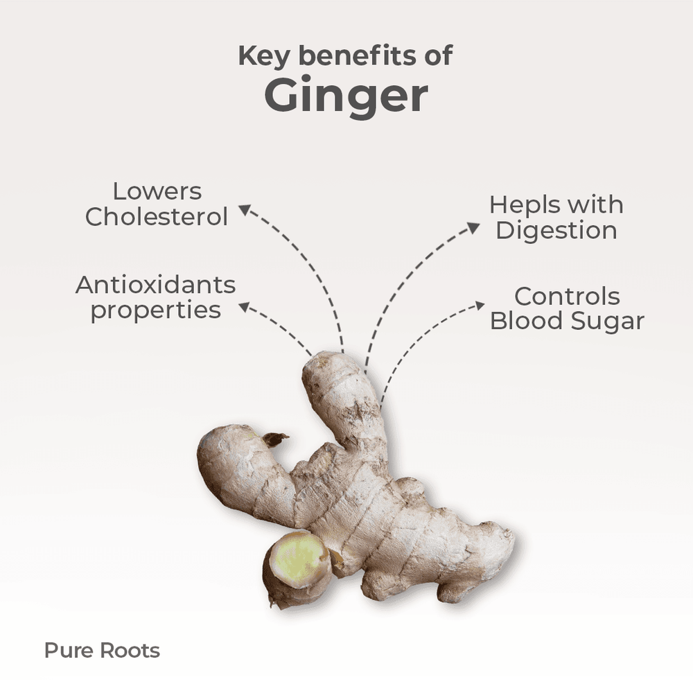 Organic Ginger Organic Mandya