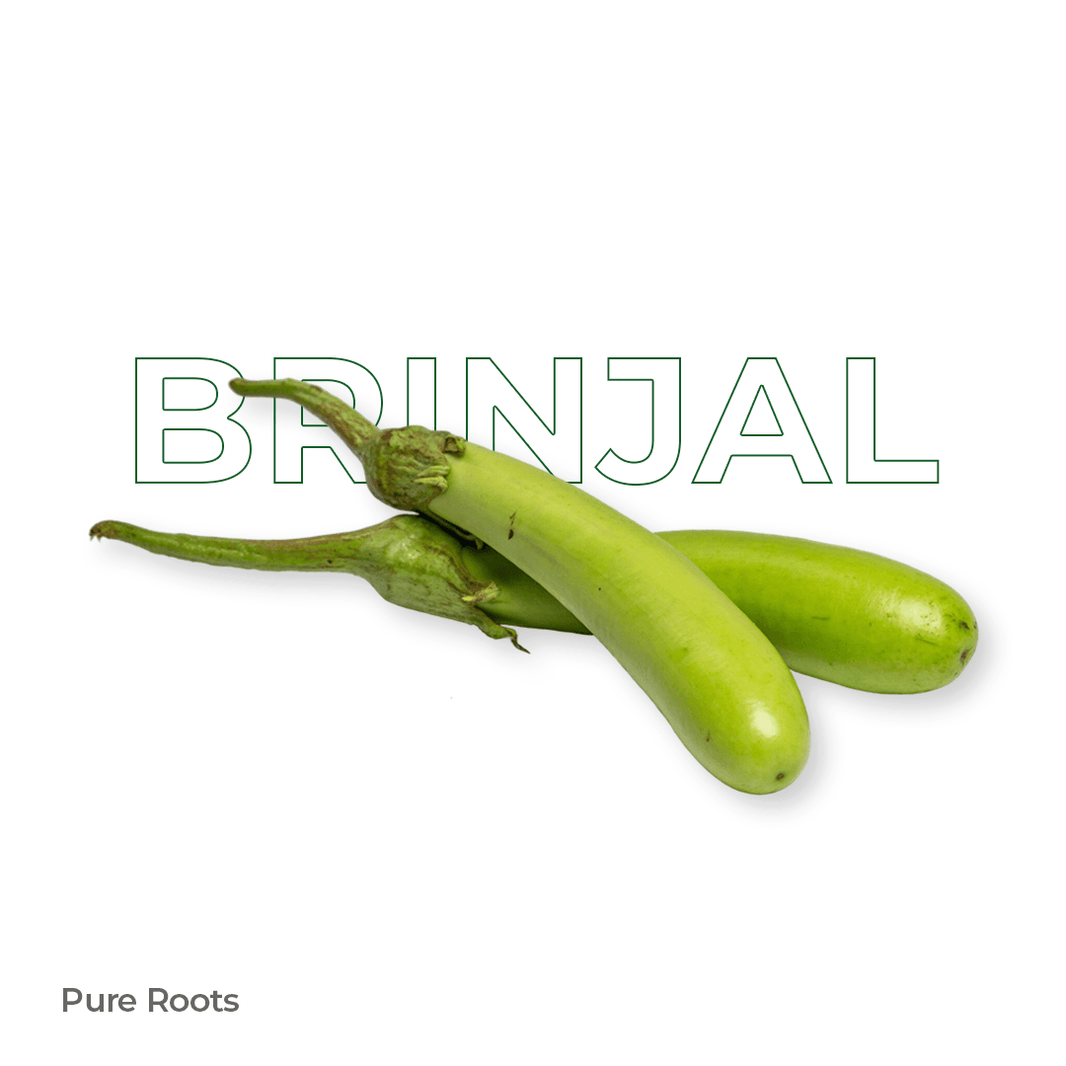 Organic Brinjal Organic Mandya