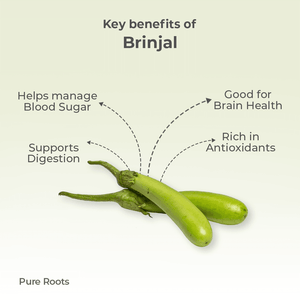Organic Brinjal Organic Mandya