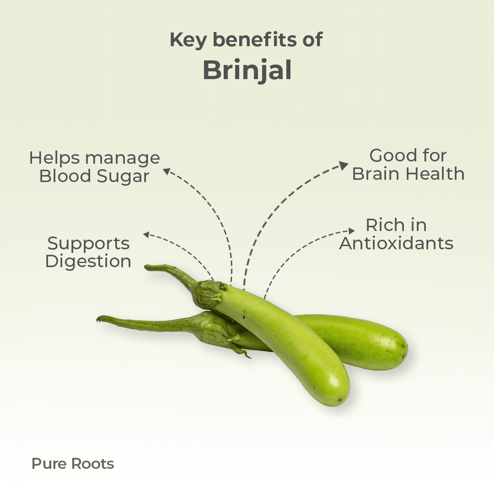 Organic Brinjal Organic Mandya
