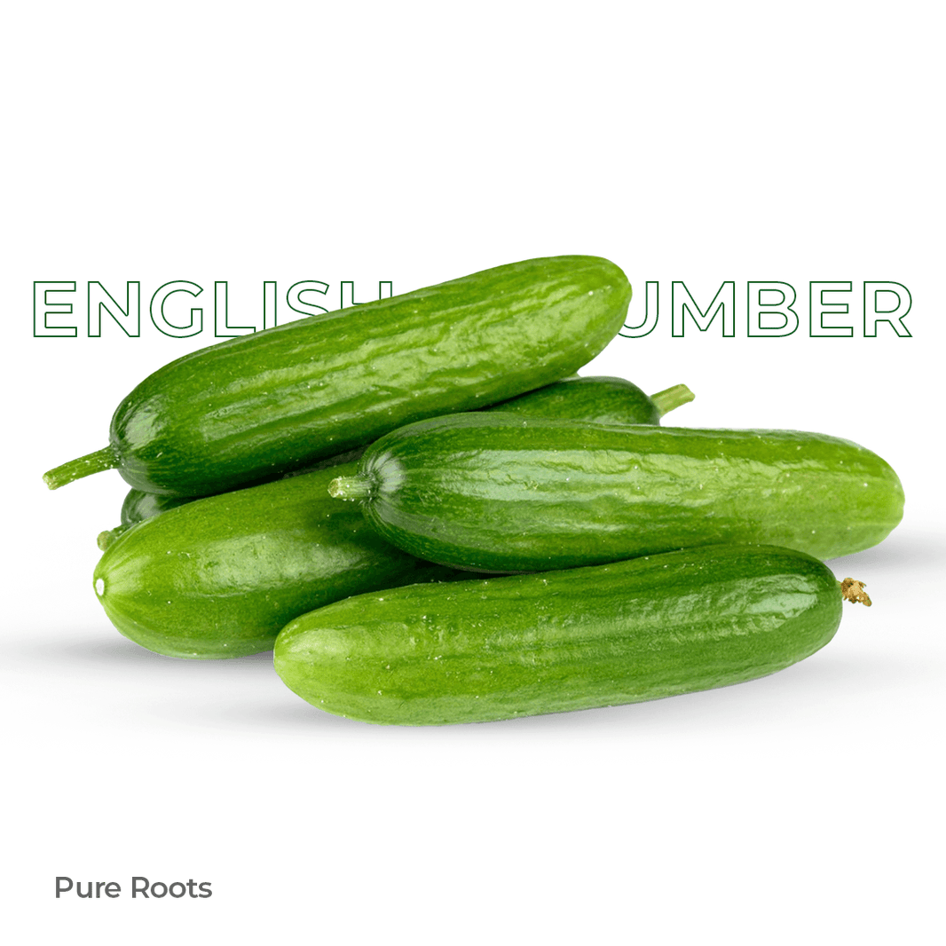 Organic English Cucumber Organic Mandya