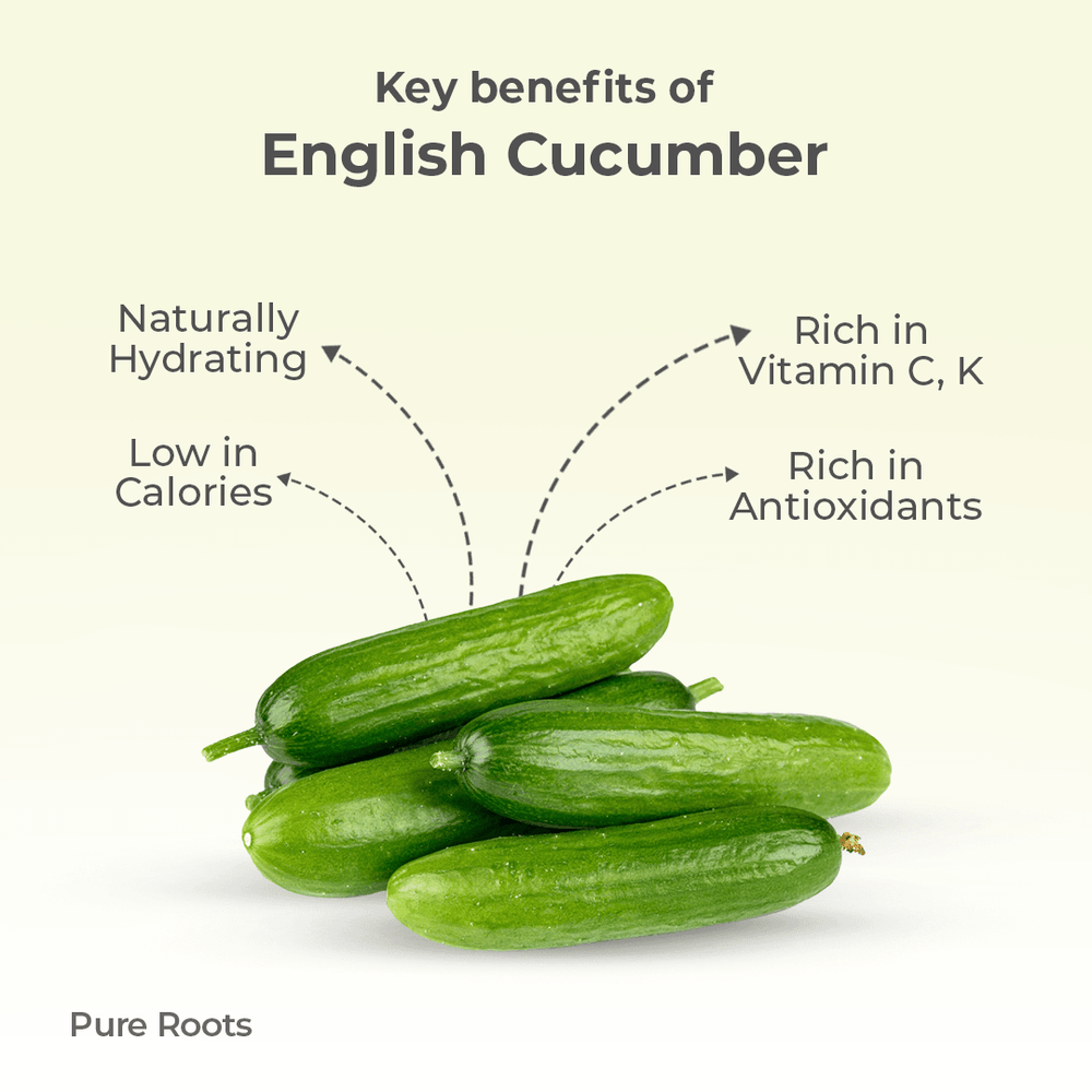 Organic English Cucumber Organic Mandya
