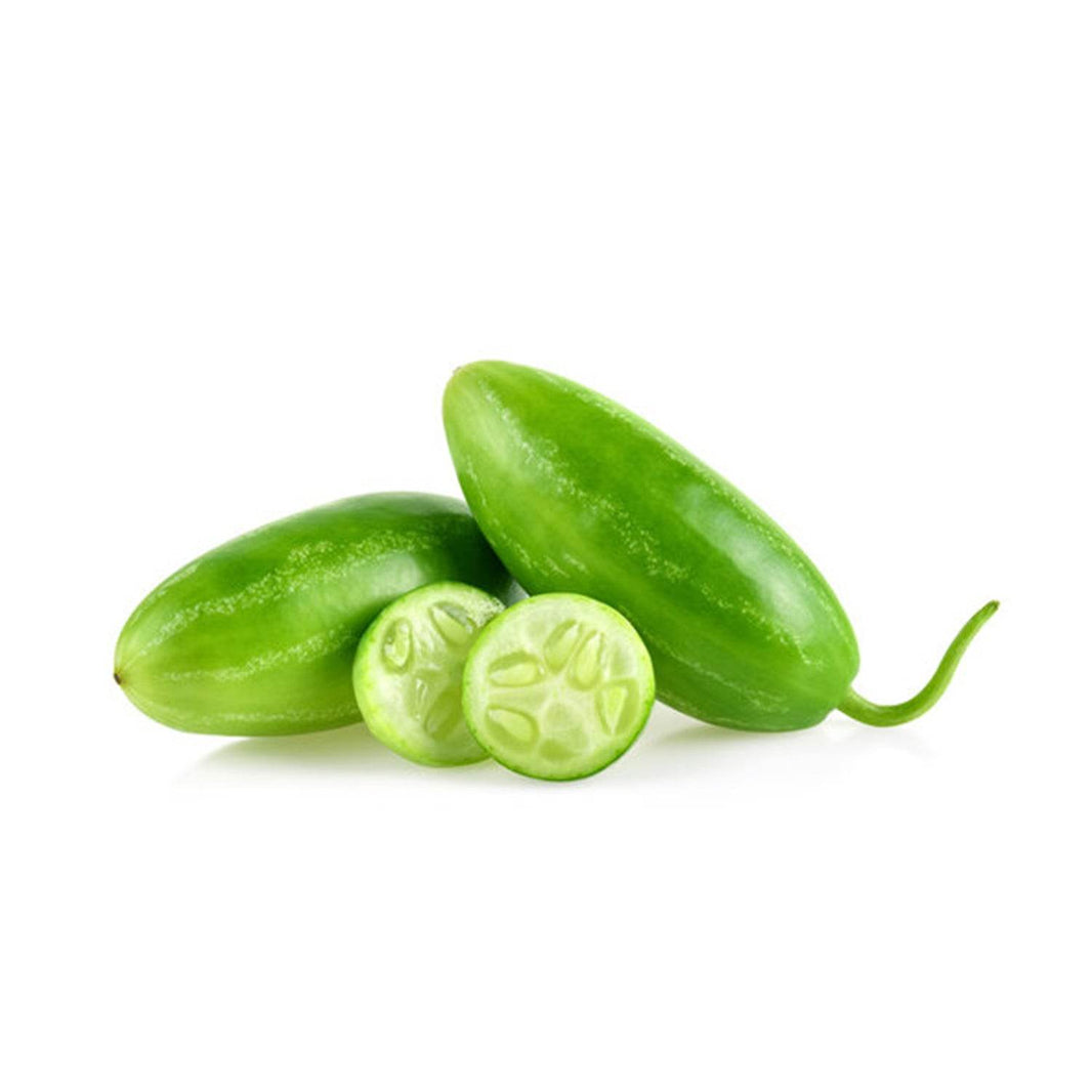Organic - Little gourd