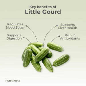 Organic Little Gourd Organic Mandya