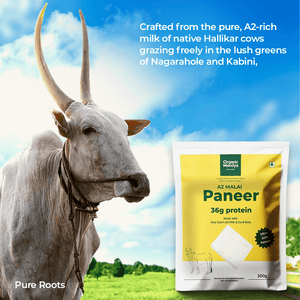 A2 Malai Paneer Organicmandya