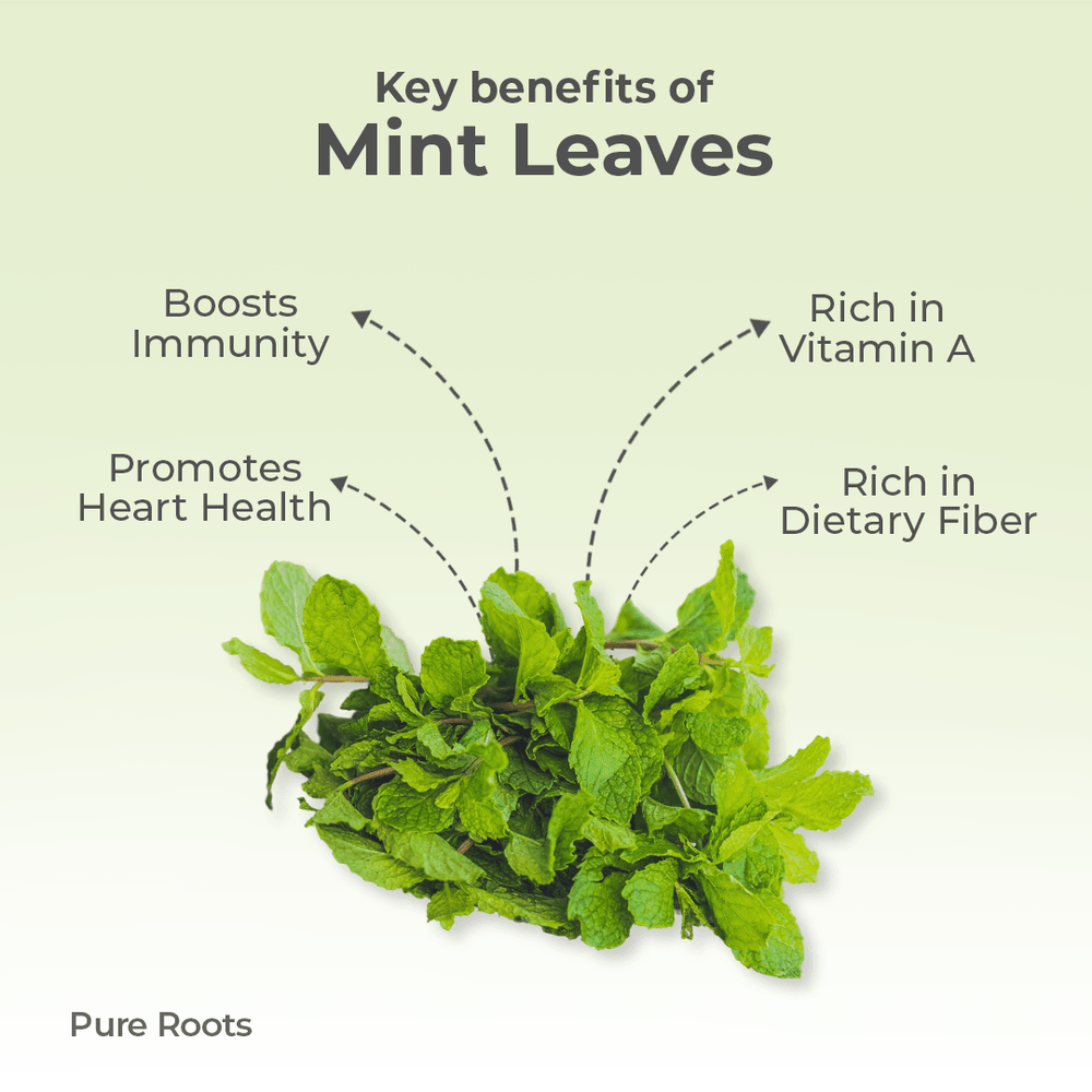 Organic Mint Leaves Organic Mandya