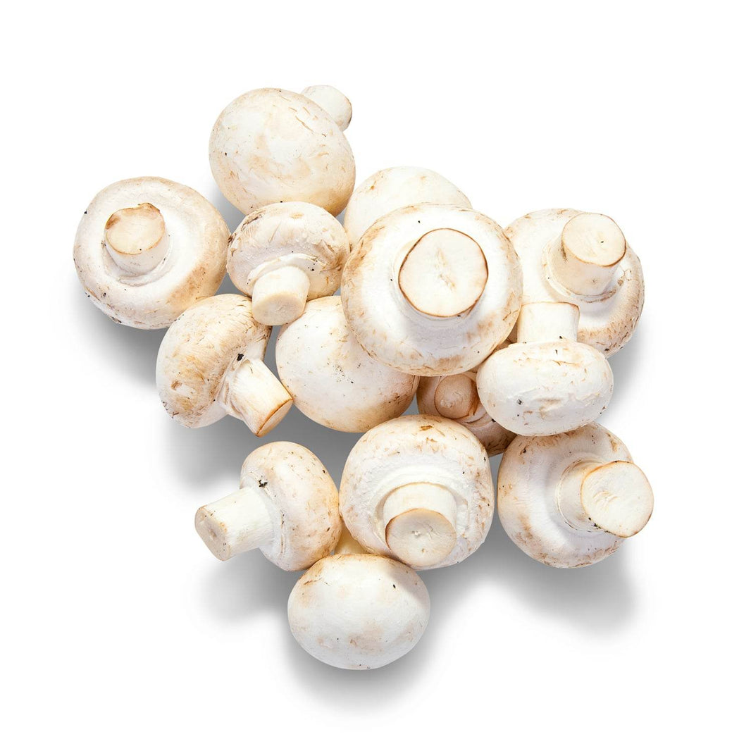 Organic Mushroom