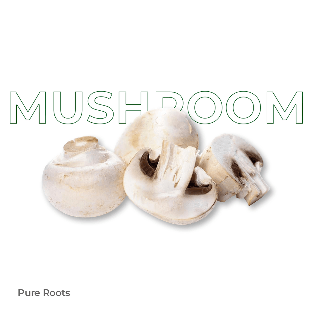 Organic Mushroom Organic Mandya
