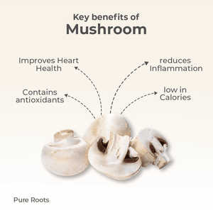 Organic Mushroom Organic Mandya