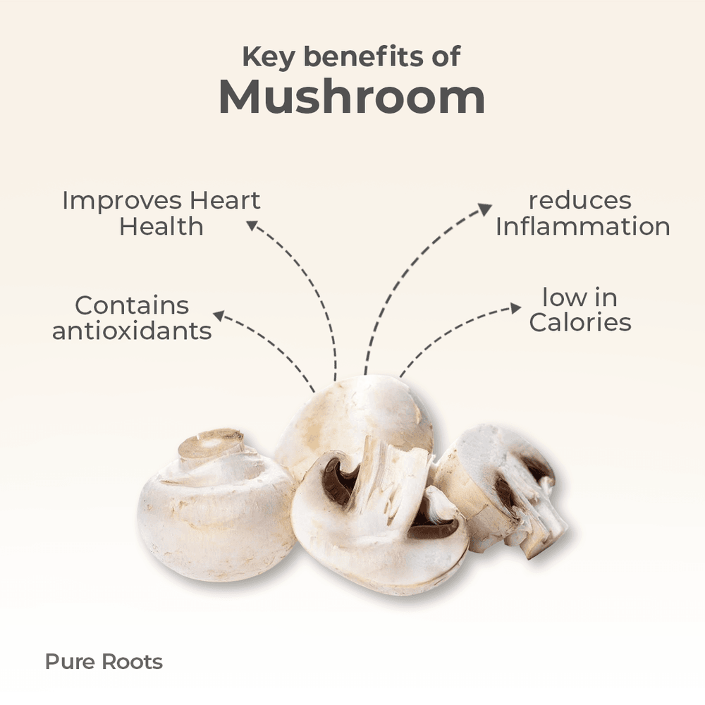 Organic Mushroom Organic Mandya