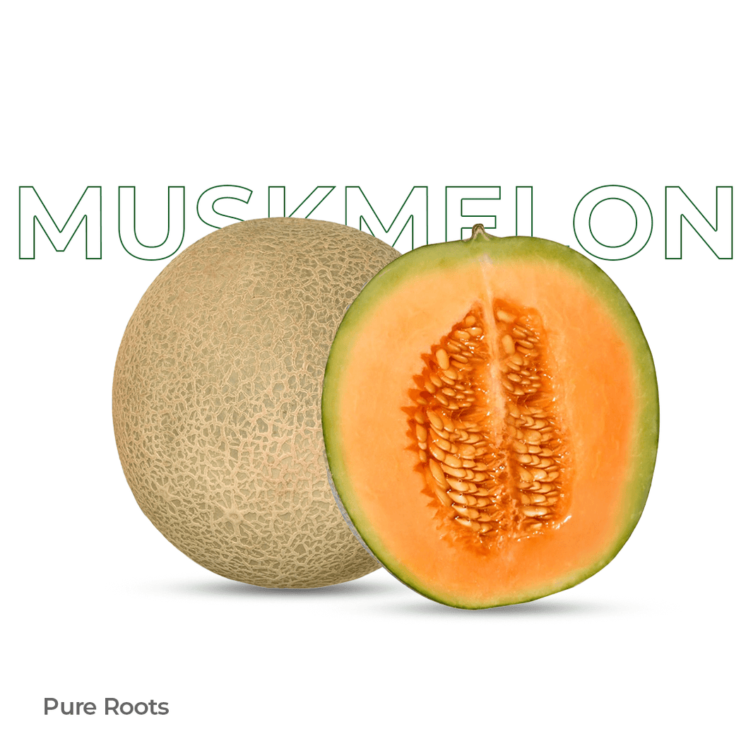 Organic Muskmelon Organic Mandya