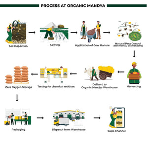 Organic Wheat Whole Organicmandya