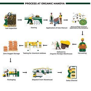 Organic Kodo Millet Flakes Organicmandya
